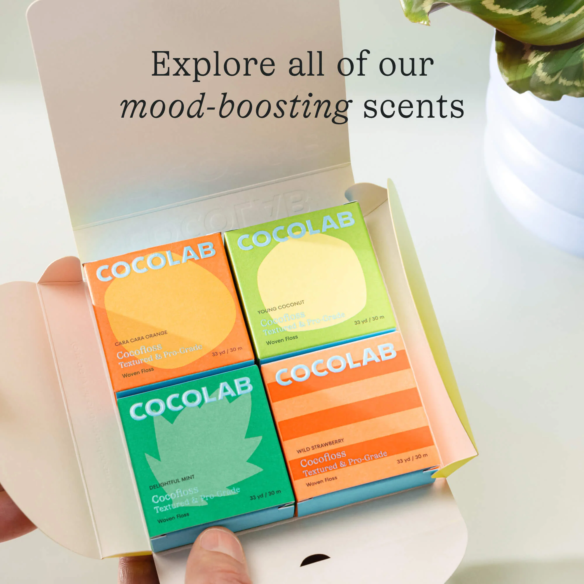 Young Coconut Dental Floss - Image 8